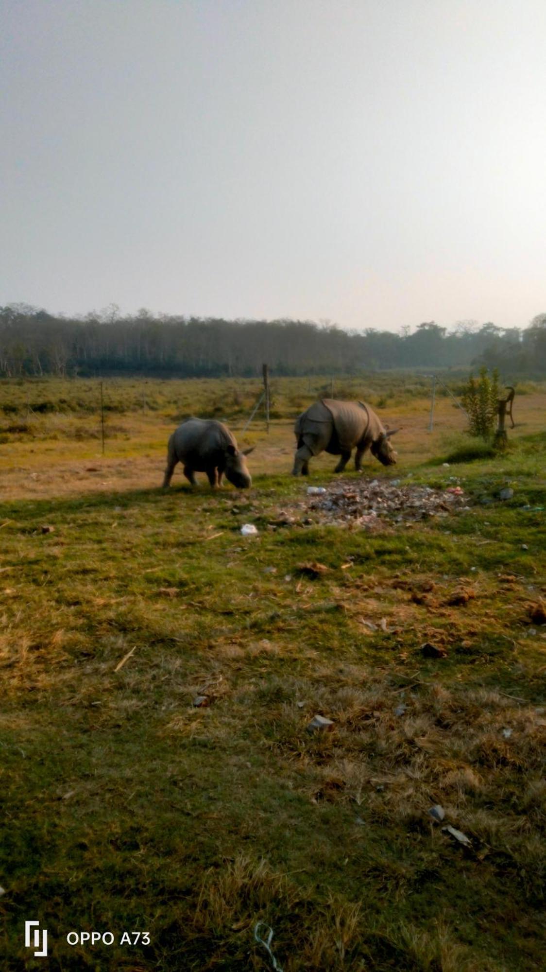 Hotel Tiger Tops Sauraha Exterior foto